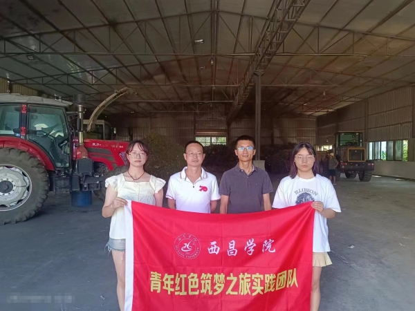 图片4 图片4