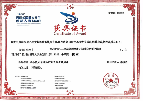 图片2 图片2